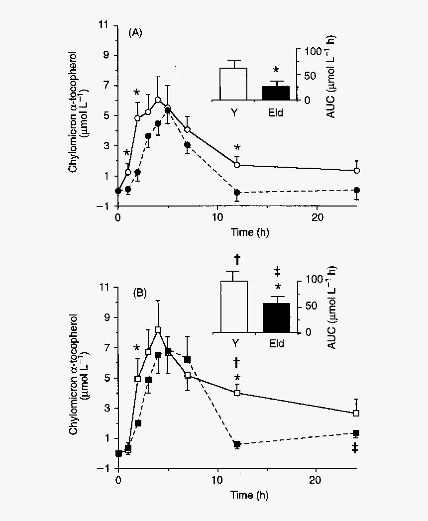 Diagram, HD Png Download