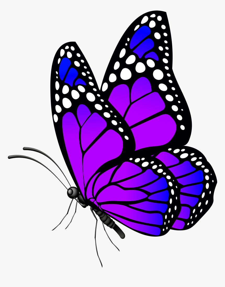 Butterfly Purple Png Clip, Transparent Png