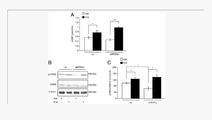 Diagram, HD Png Download