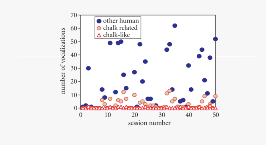 Screenshot, HD Png Download