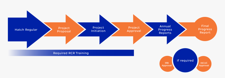 Iacuc Uf, HD Png Download