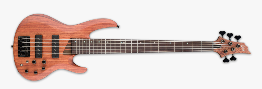 Sdgr Bass 5 String, HD Png Download