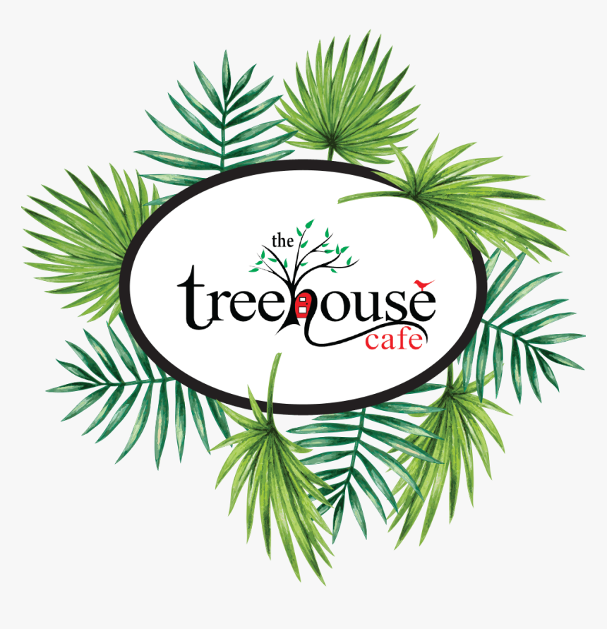Treehouse Cafe Ulladulla, HD Png Download