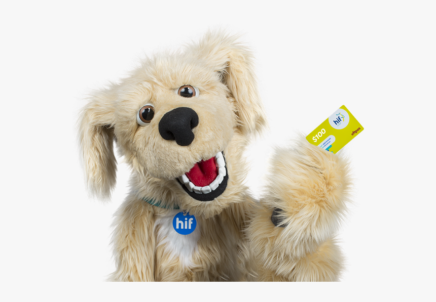 Golden Retriever, HD Png Download