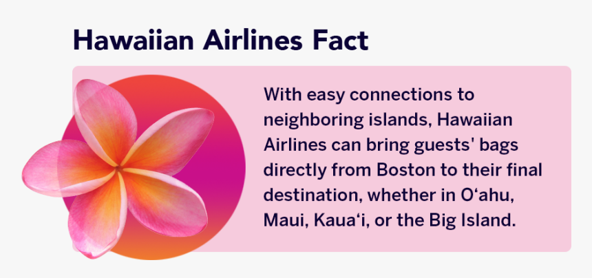 Frangipani, HD Png Download