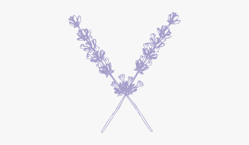 Sweetwater Submark Lavender - Lavender En Png, Transparent Png