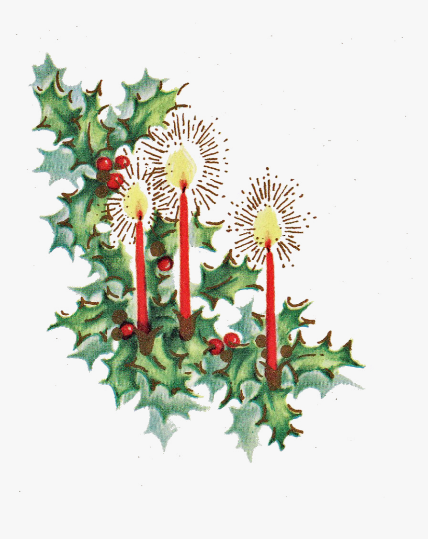 Floral Design, HD Png Download