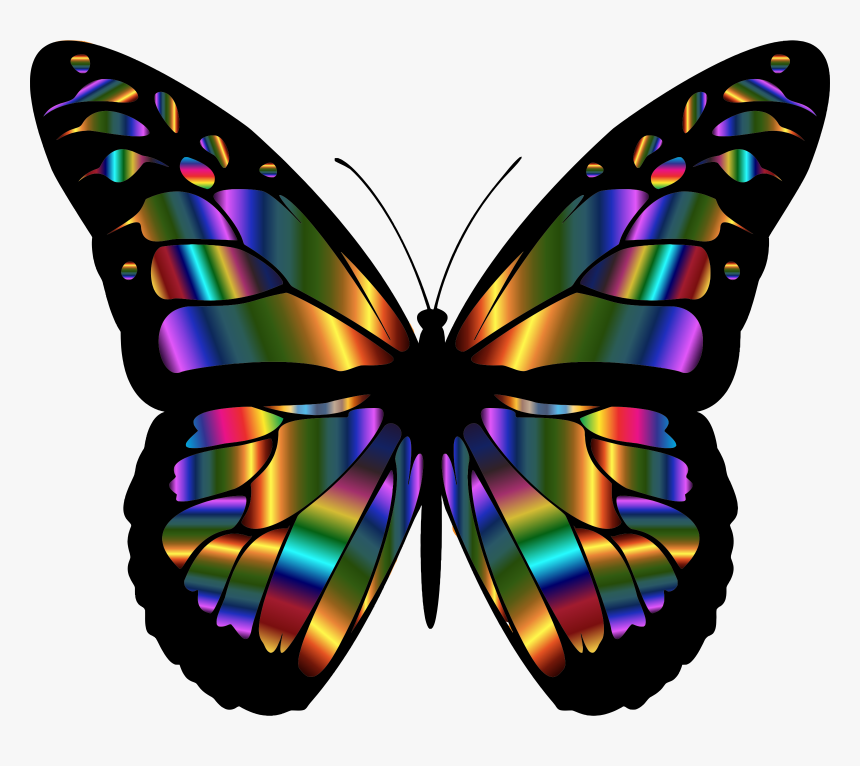 Monarch Butterfly Emrald Png - Colorful Butterfly Wings, Transparent Png