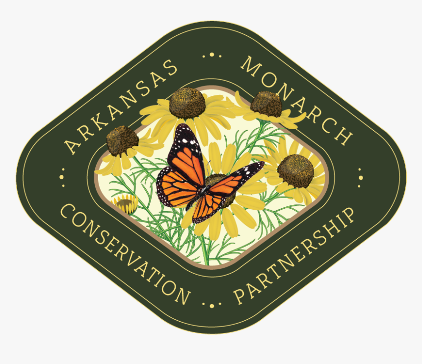 Butterfly, HD Png Download