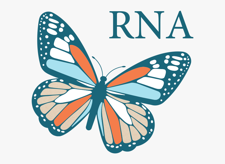 Monarch Butterfly, HD Png Download