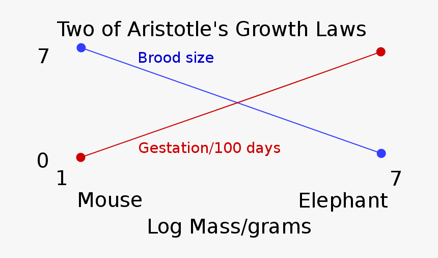 Two Of Aristotle S Growth Laws - Aristotle Experiment, HD Png Download