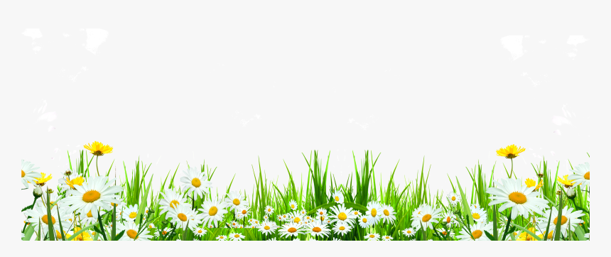 Svg Library Flower Download Icon Cute Flowers Roadside - Flowers Weeds Png, Transparent Png