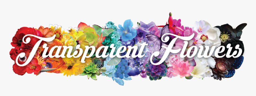 Banner Transparent Bouquet Transparent Flower Tumblr - Png Flowers Row, Png Download