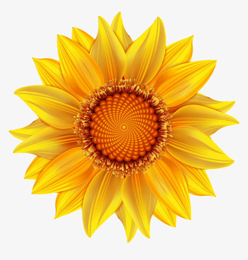 Banner Royalty Free Library Flower Clipart Transparent - Yellow Flower Png, Png Download