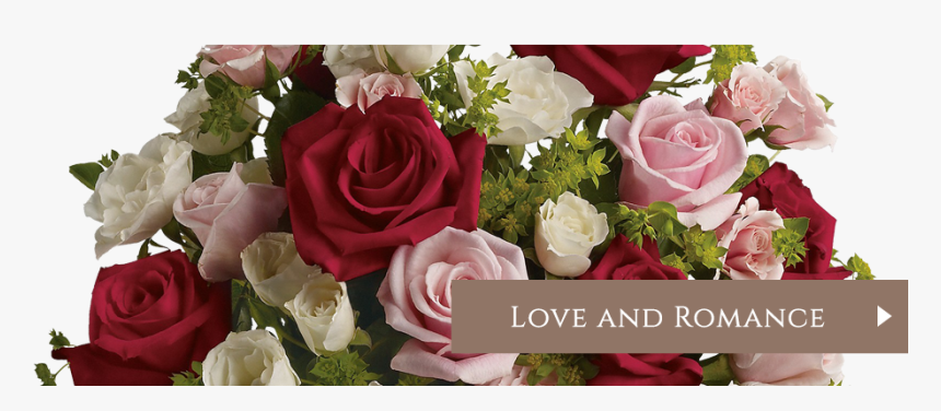 Transparent Flower Banner Png - Type For Flower Arrangement, Png Download