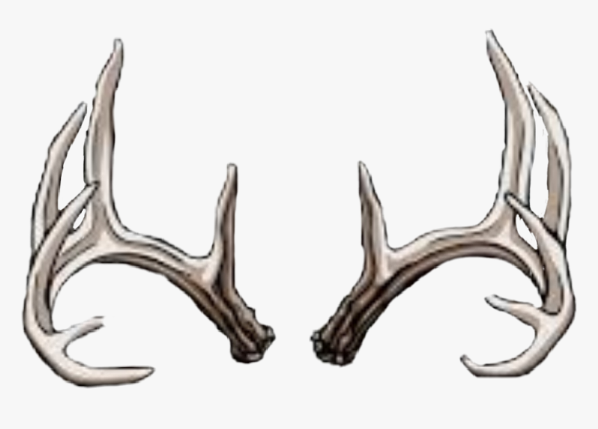 Transparent Deer Rack Png - Deer Skull Line Art, Png Download