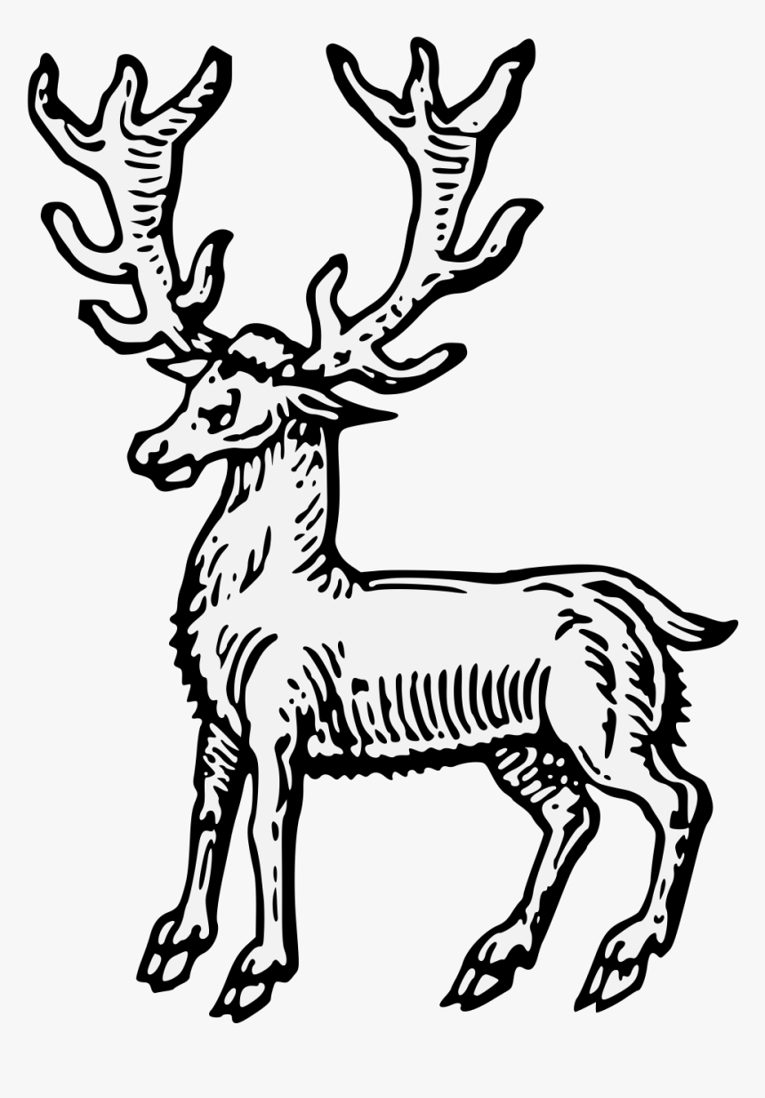 Elk, HD Png Download