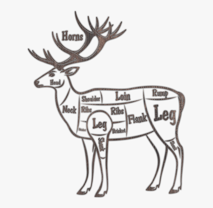 Brisket On A Deer, HD Png Download