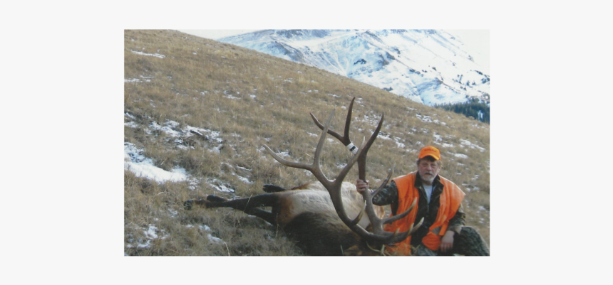 Barren Ground Caribou, HD Png Download