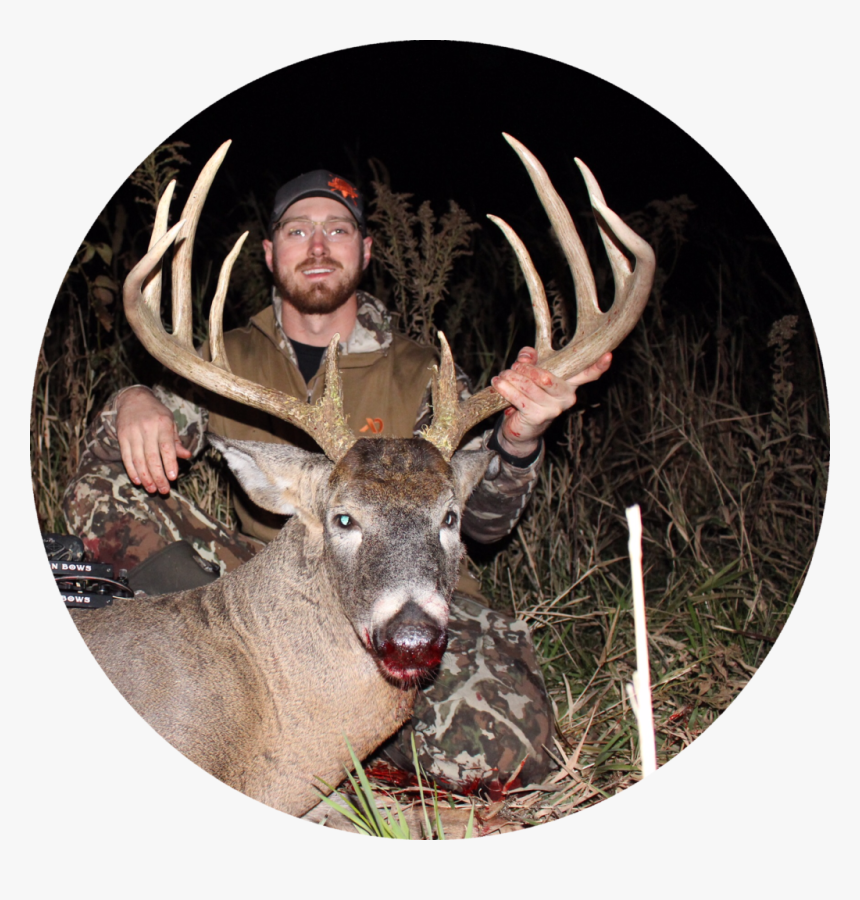 Wtr Tim - Elk, HD Png Download