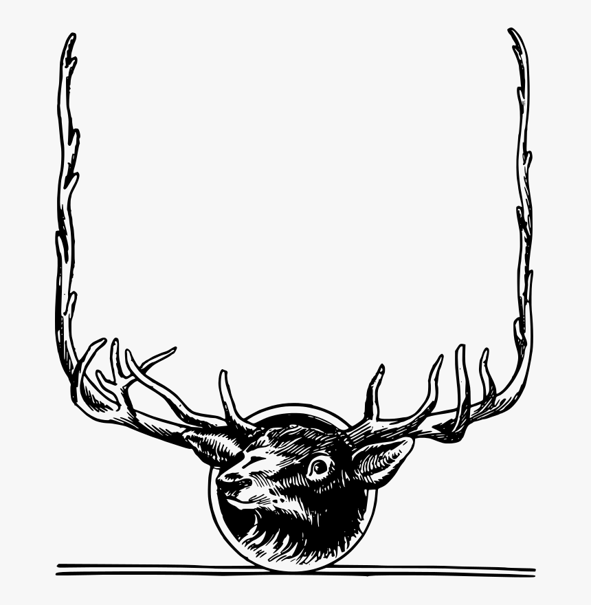 Deer Frame, HD Png Download