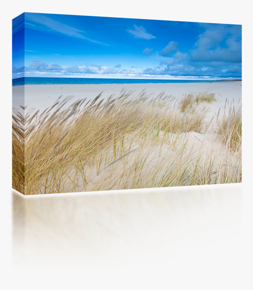 Sand, HD Png Download