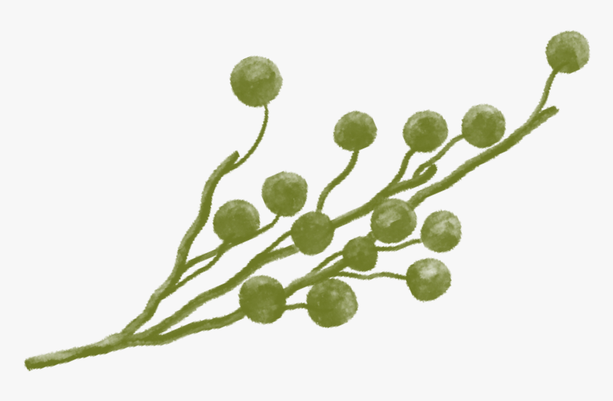 Twig, HD Png Download