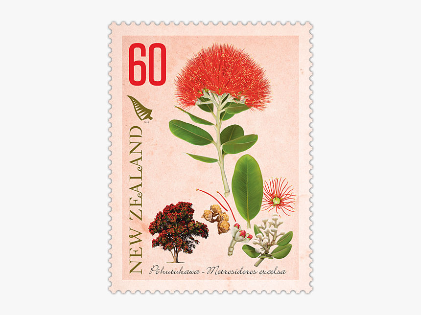 Post Card Stamp For New Zealand, HD Png Download