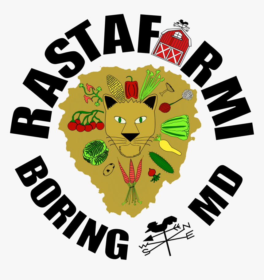 Rasta Png, Transparent Png
