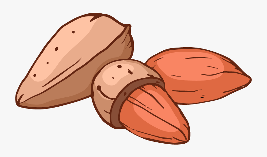 Mandel - Almond, HD Png Download