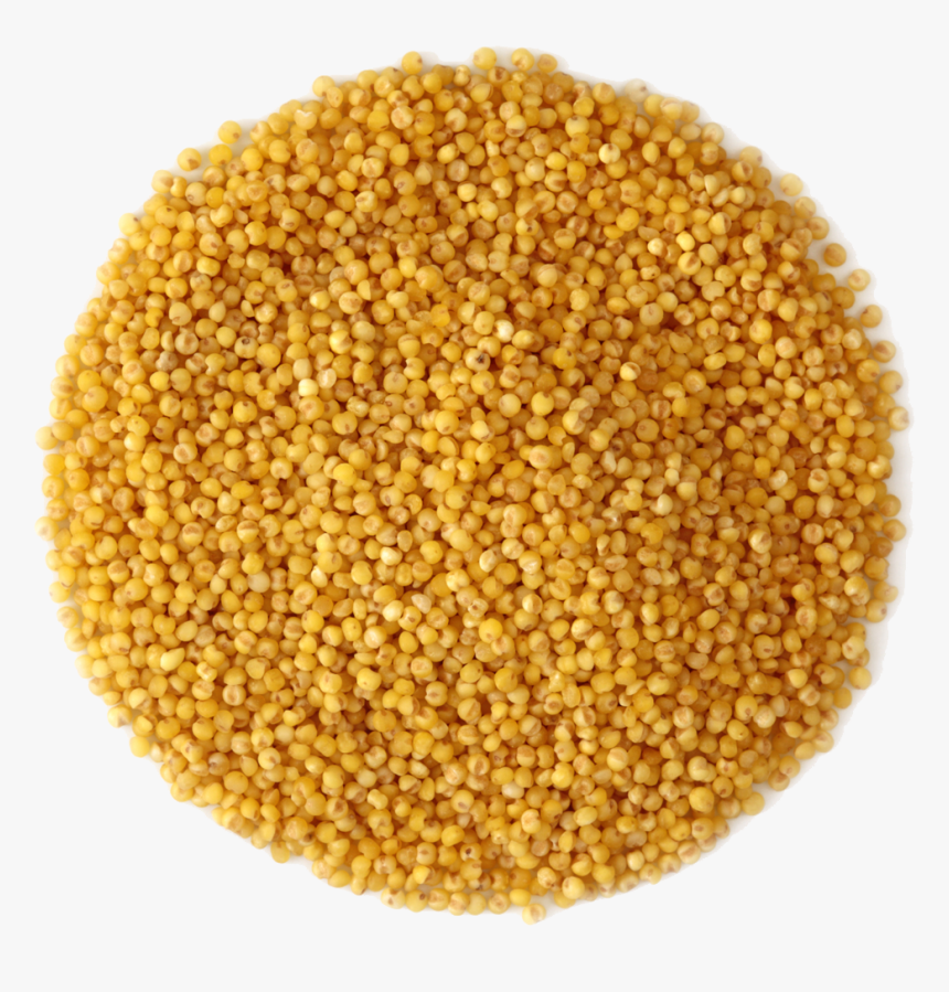 Small Pile Of Grain - Rapeseed, HD Png Download