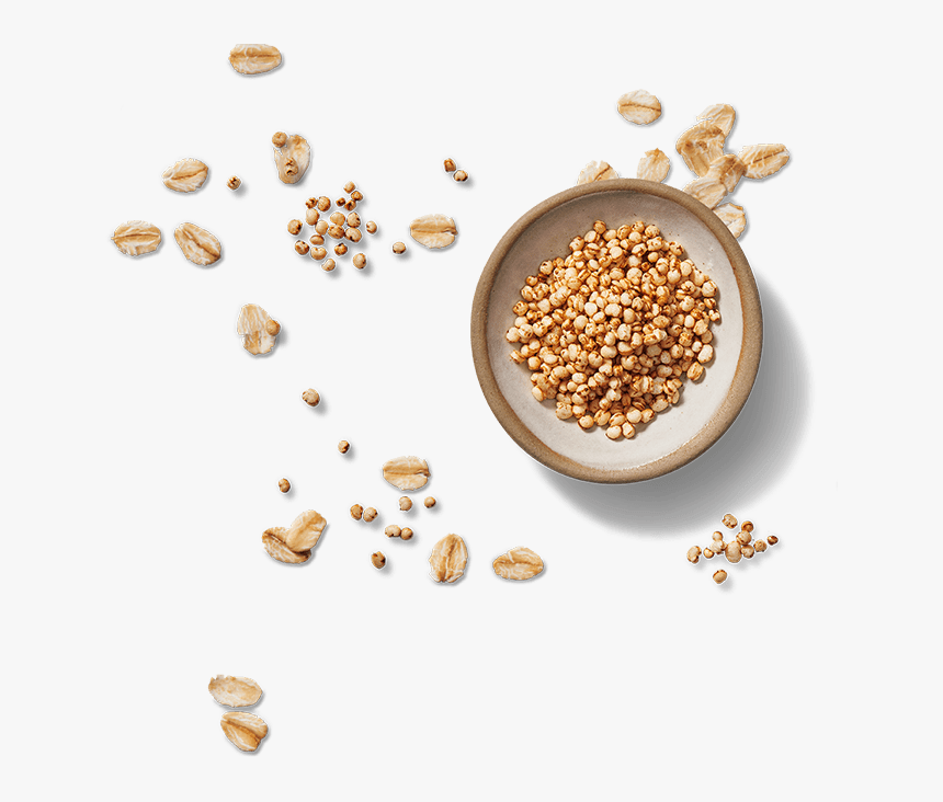 Seed, HD Png Download