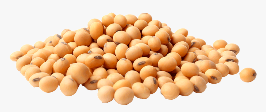 V Soy Multi Grain, HD Png Download