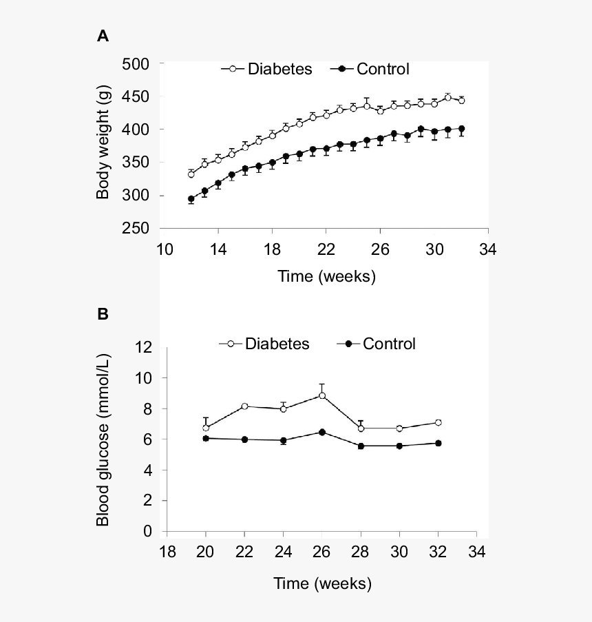 Diagram, HD Png Download