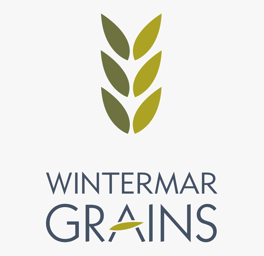 White Grain Png - Grain Logo Png, Transparent Png