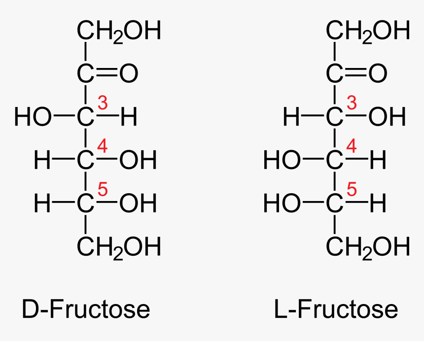 Https - //upload - Wikimedia - Org/ - D Fructose Vs Fructose, HD Png Download