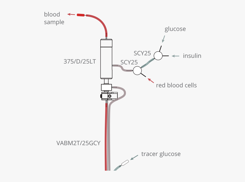 Diagram, HD Png Download