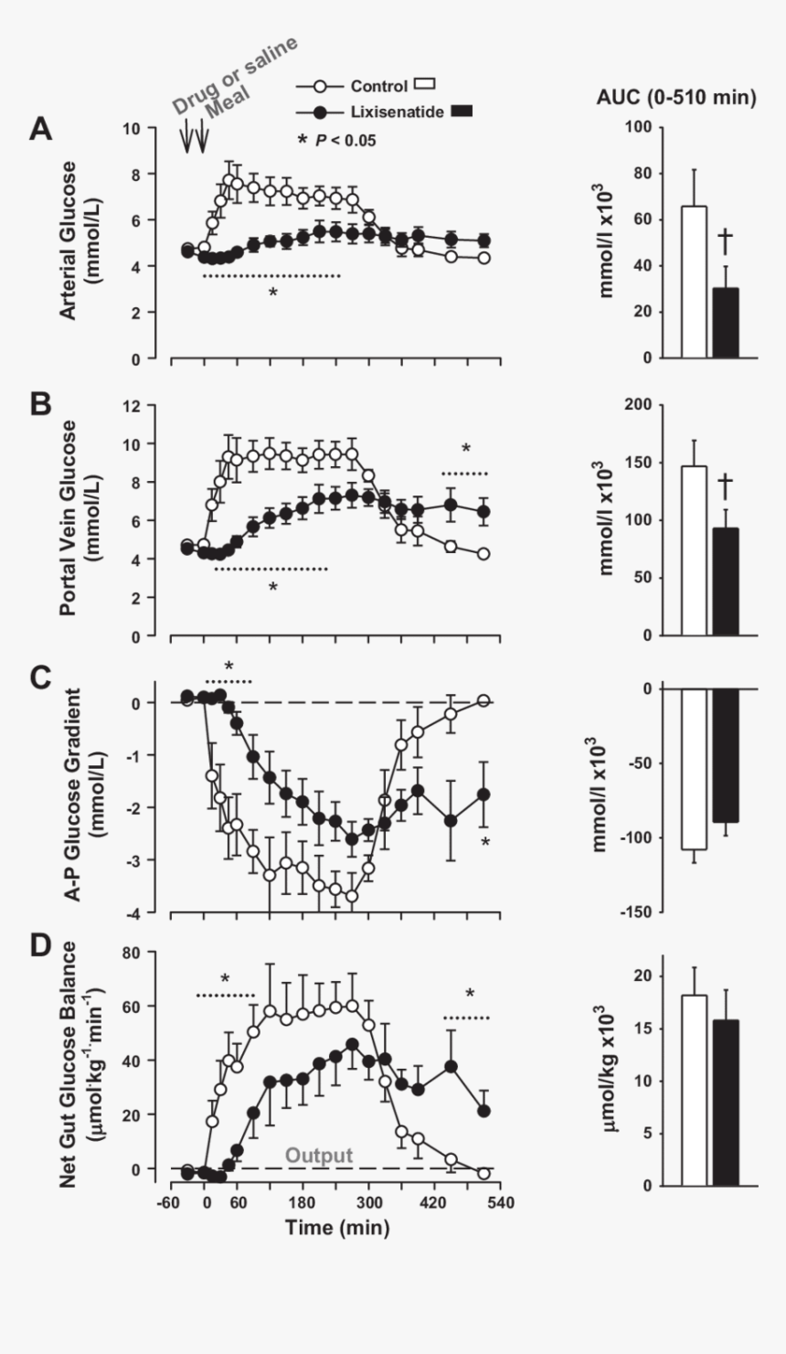 Diagram, HD Png Download