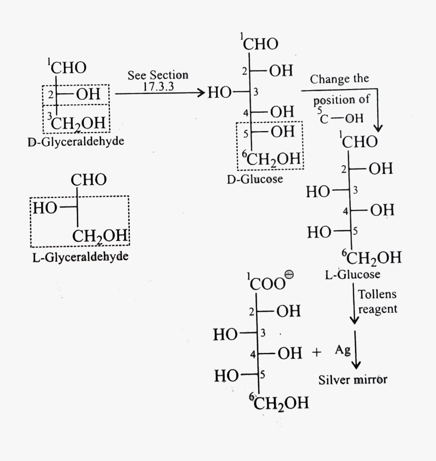 Document, HD Png Download