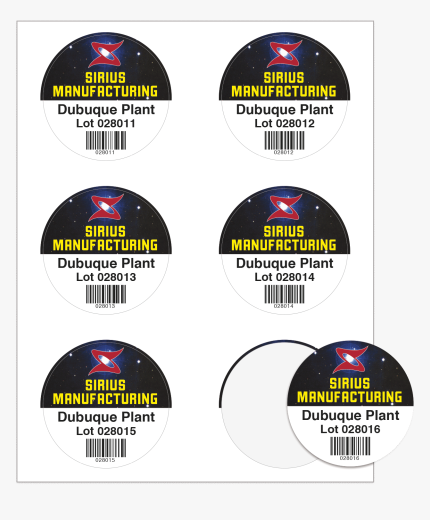 Circle, HD Png Download