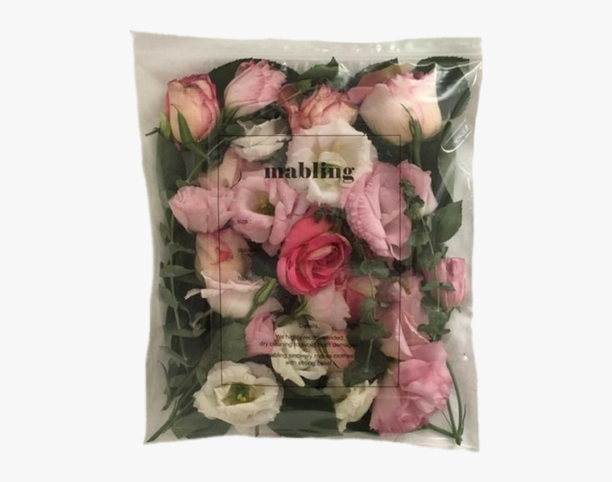 Image - 置き 画 おしゃれ 花, HD Png Download