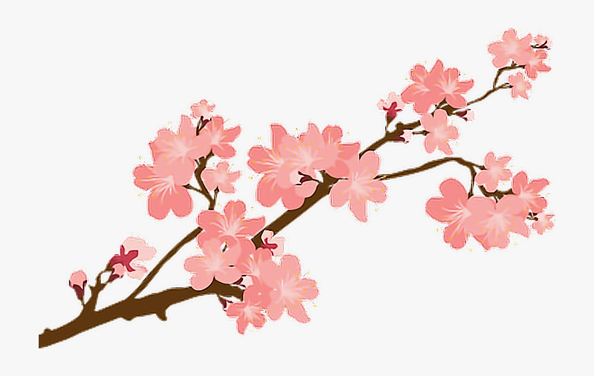 #sakura #sakuras #flower #flowers #cherry #cherryblossoms - Japanese Cherry Blossom Png, Transparent Png