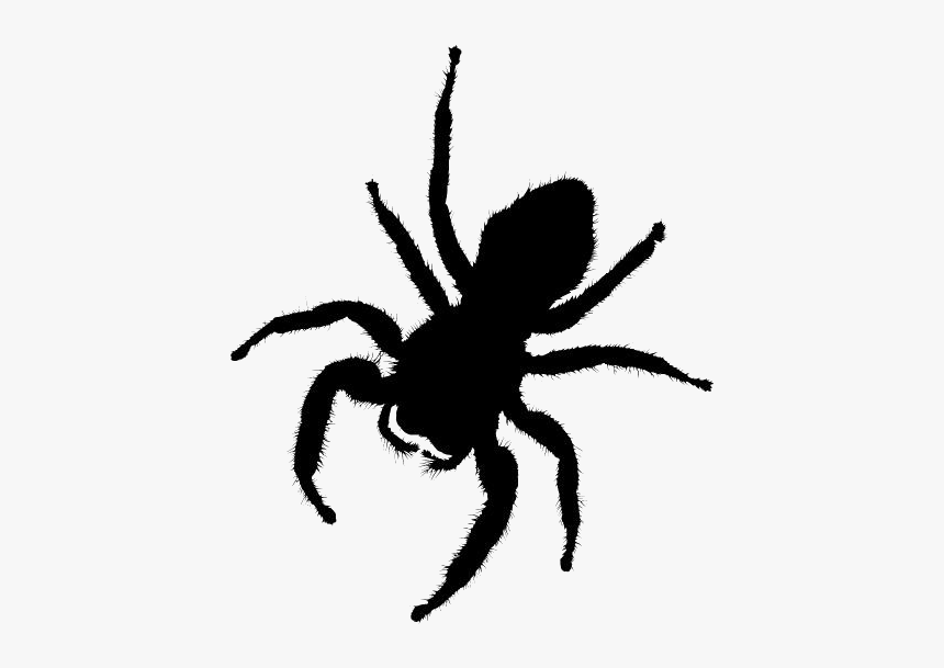 Transparent Spider Silhouette, Spider Png Image - Fantasy Spider Png, Png Download