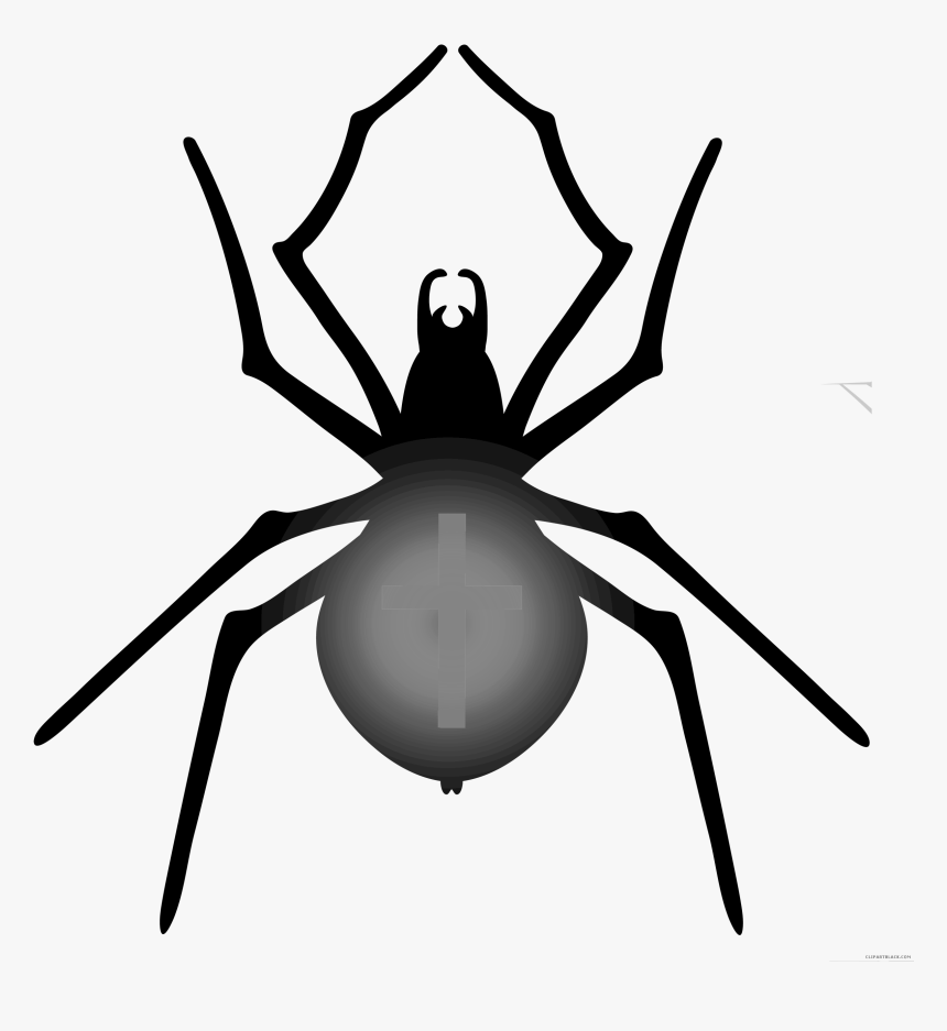 Halloween Clipart Spider - Drawing Halloween Spider Web, HD Png