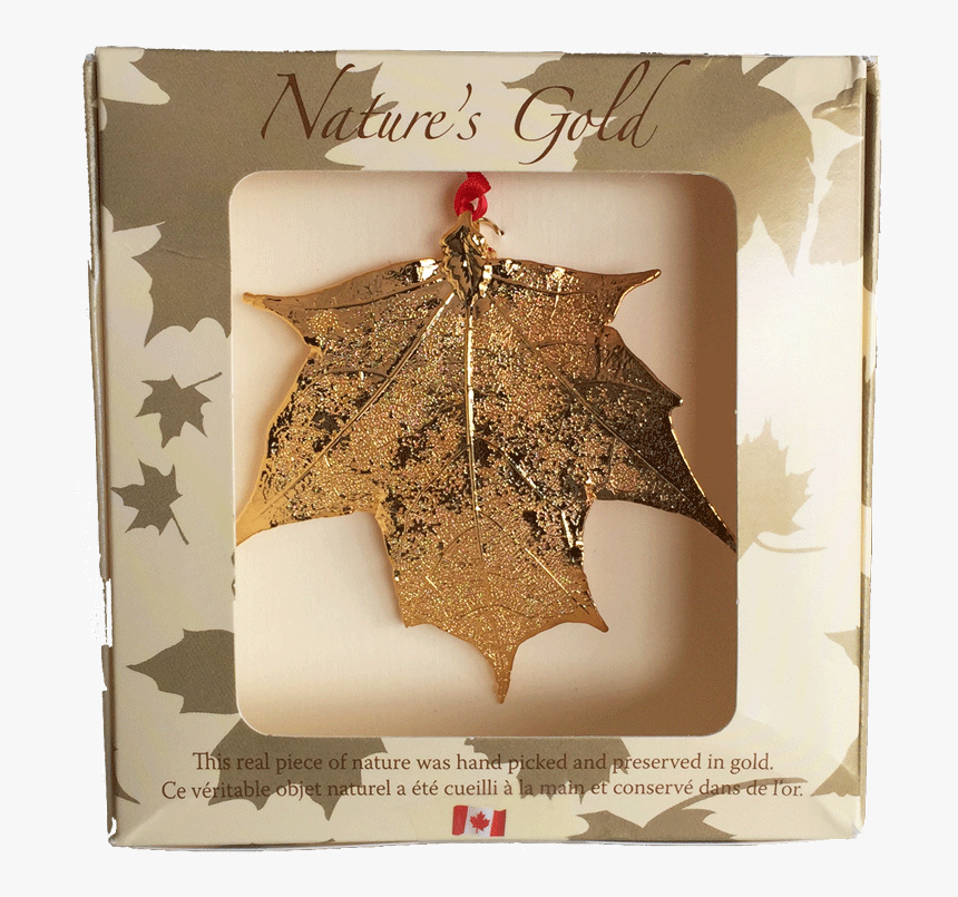 Natural Maple Leaf In Canada, HD Png Download