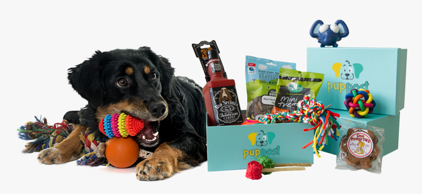 Hovawart, HD Png Download