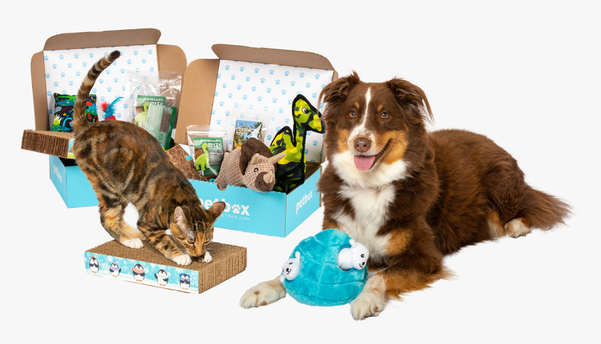 Petbox, HD Png Download