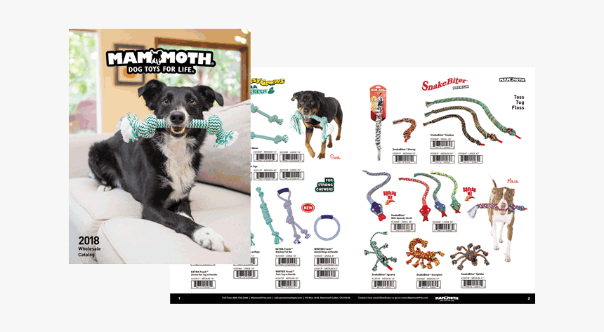 Companion Dog, HD Png Download