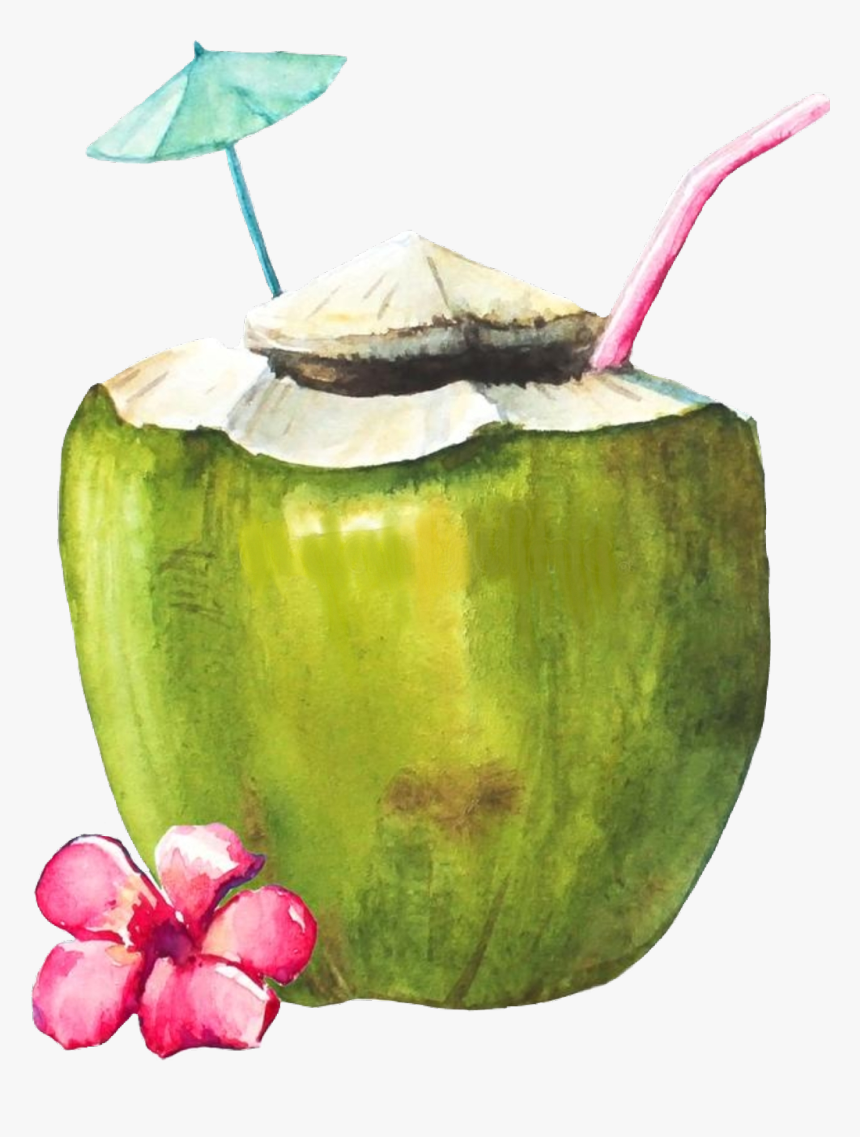 #coconut #coconutdrink #scbeachessentials #beachessentials - Green Coconut With Straw Painting, HD Png Download