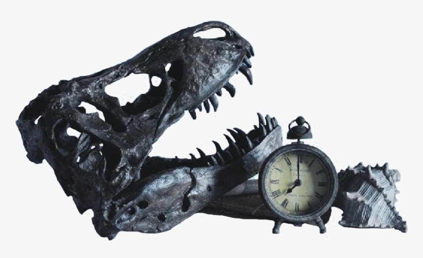 Tyrannosaurus, HD Png Download